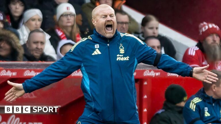 Sean Dyche: Nottingham Forest boss ‘stunned’ by ‘bizarre’ VAR decisions in Man City defeat Nottingham Forest manager Sean Dyche reacts during the Premier League match against Manchester City