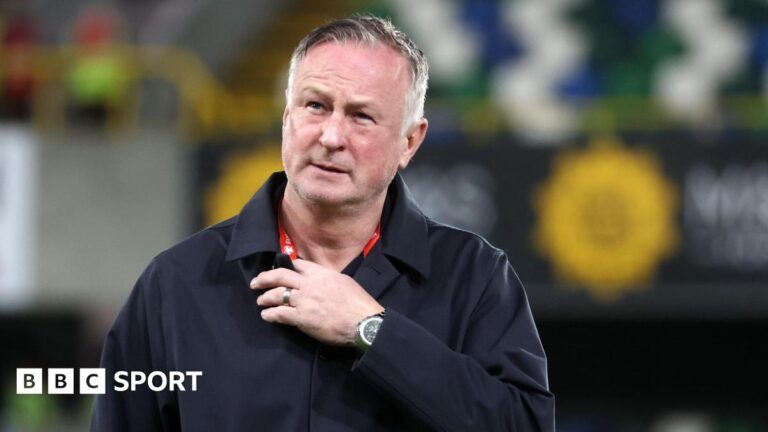 Northern Ireland manager Michael O'Neill