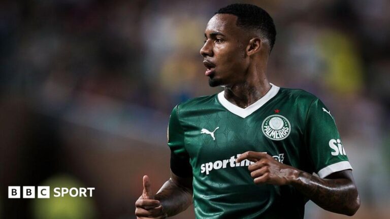 Allan: Man City sign Palmeiras winger for £34m Allan Elias