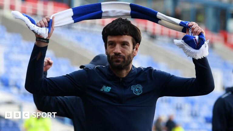 Brian Barry-Murphy swings a scarf above his head after guiding Cardiff to promotion from League One.